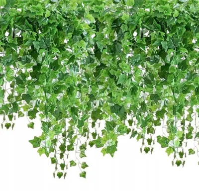 Immagine prodotto di Ghirlanda - 6 m - edera artificiale - decorazione primaverile - pianta artificiale - decorazione per il balcone