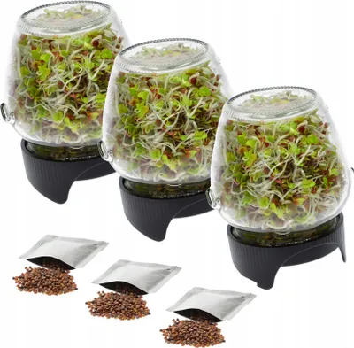 Three glass jars filled with sprouts, each on a black stand, with packets of seeds and loose seeds in front.