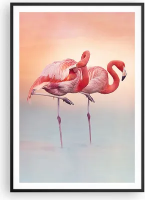 Produktbild von Gerahmtes Poster - Schwarzer Rahmen - Flamingos Exotik Vögel - 70x100 cm - Wand Bild - Wanddeko - Wandbilder - Kunstposter - Wandposter - Bilderrahmen - Bilder - Kunstdruck - P2BPA70x100-5044