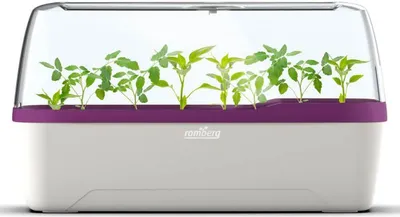 Produktbild von Romberg Bo Qube L Plus Gewächshaus Weiss/Pflaume 41x17x23 cm