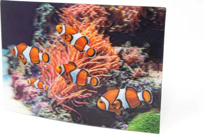 Produktbild von 3D Postkarte Clownfische