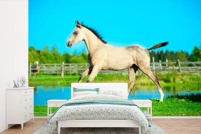 Produktbild von Fotobanner - Pferde - Meer - Gras - Breite 525 cm x Höhe 350 cm
