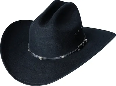 A black cowboy hat on a white background.
