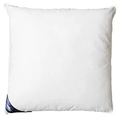 Produktbild von Kopfkissen Kissen Kinderkissen Daunen*Federn 80x80 cm 700gr Füllung