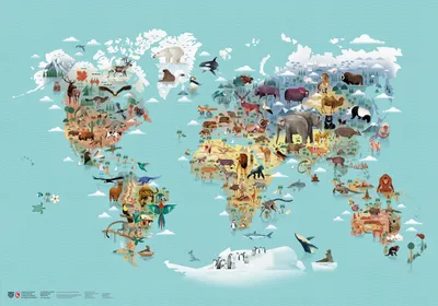 Produktbild von Die Welt der Tiere