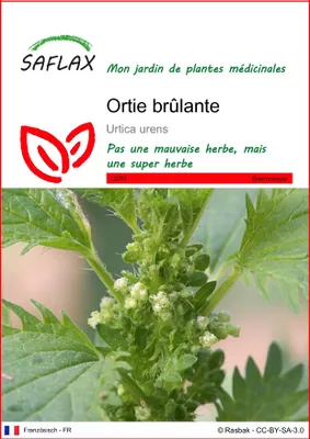 Image de SAFLAX  - Ortie brûlante - 150 graines - Urtica