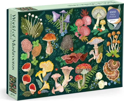 Produktbild von World of Mushrooms. 1000 Piece Puzzle