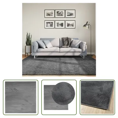 Produktbild von The Living Store Teppich OVIEDO Kurzflor Anthrazit 200x200 cm