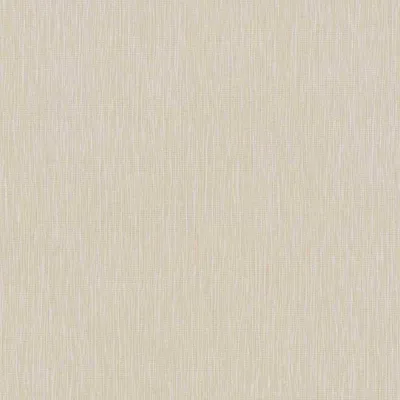 A plain, textured background.