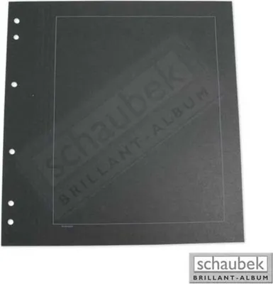 Produktbild von Schaubek Blankoblätter schwarz mit Rahmen - Albumkarton