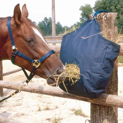 A horse is eating hay from a blue hay bag attached to a wooden fence.