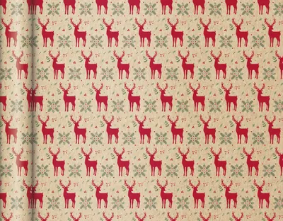 Image de Clairefontaine 223884C Clairefontaine Papier cadeau de Noël Tiny Rolls Rennes