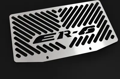 Produktbild von ZIEGER Kühlerabdeckung kompatibel mit Kawasaki ER-6 n | f Design Logo silber