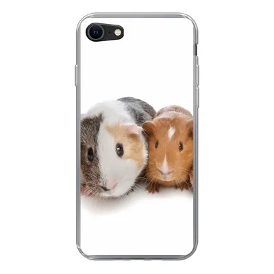 Produktbild von MuchoWow® Handyhülle Schutzhülle Hülle für iPhone 8 Fünf Meerschweinchen Silikon Softcase Handy Hülle - Schutzhaube