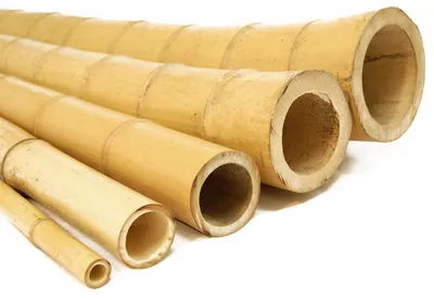 Produktbild von DIXIE STORE Bambus Dekorativ - Bambusrohre Bambusstangen - 180 cm 50/60 mm