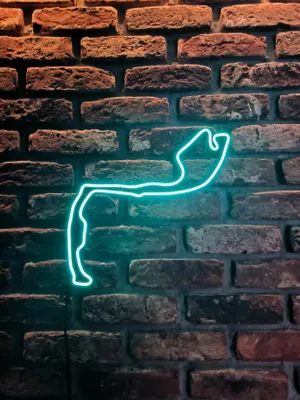 Zdjęcie produktu dla NeonLed Monaco 40cm Formuła 1, prezent F1, neonowy tor F1