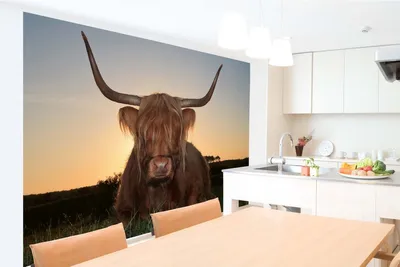 Produktbild von Vlies Fototapete SCHOTTISCHE HOCHLANDRIND-KUH 375 x 250 cm (inkl. Kleister) - Vlies Tapete, Wandtapete, Wandbilder - Tapete für Wohnzimmer Schlafzimmer, Büro, Küche - Montagefertig