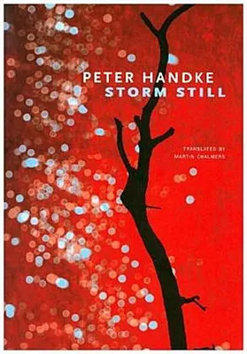 Obrázek produktu pro Storm Still