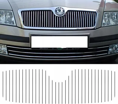 Image de Skoda Octavia - Baguettes Chromées Pour La Calandre