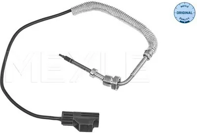 Image de Capteur, Abgastemperatur