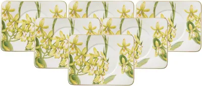 Produktbild von Villeroy & Boch Amazonia Teeuntertasse 17 x 14 cm 6er Set