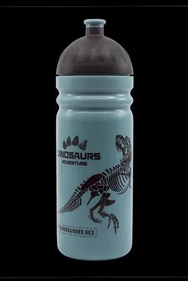 Produktbild von Healthy Bottle® T-REX Getränkeflasche 0,7 l, BPA-frei und ohne Weichmacher