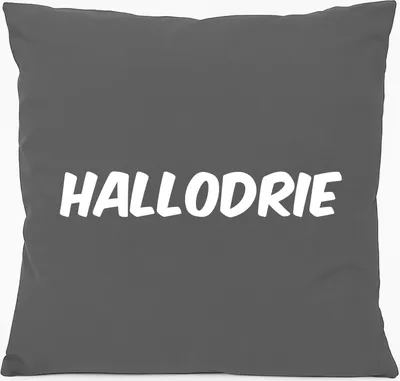 Produktbild von Huuraa Kissen Hallodrie Schriftzug 40x40cm mit Füllung Steel Grey Baumwolle Dekokissen Geschenkidee