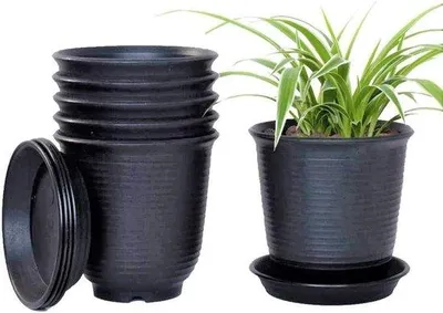 Produktbild von 6 schwarze Plastikblumentöpfe 15 cm mit Drainage