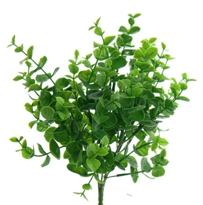 Produktbild von GASPER Eukalyptus Grün 30 cm - Kunstpflanzen