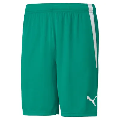 Image de Puma Teamliga Short Enfants - Vert