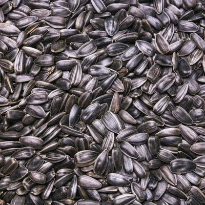 Produktbild von Schwarze Sonnenblumenkerne 30 kg Wildvogelfutter, Ganzjahresvogelfutter, ideal für Vögel im Freien, Vogelfutter für das ganze Jahr, Streufutter