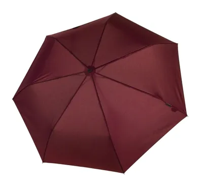 Image de bugatti parapluie de poche parapluie Buddy Magic Duo Uni Claret Berry pourpre