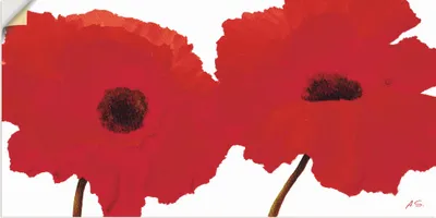 Produktbild von ARTland Wandbild, selbstklebend Roter Mohn II Größe: 100x50 cm