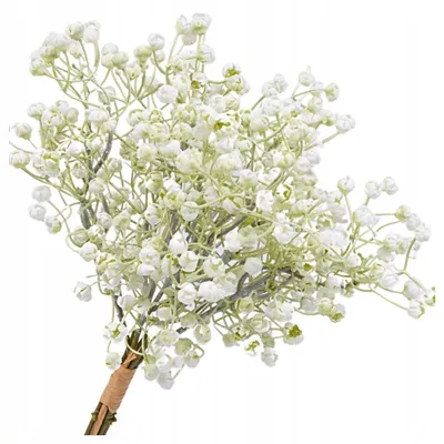 Produktbild von Topoblu Künstlicher Gipsgyps Zweig Dekorativ 6 Äste Weiß Hochzeit
