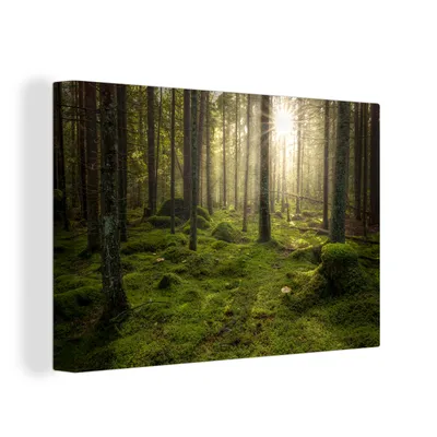 Obrázok produktu pre OneMillionCanvasses® - Maľba na plátne - Obraz na plátne Nástenná maľba na plátne - Les - Slnko - Strom - 150x100cm - Fotografia na plátne - maľba na