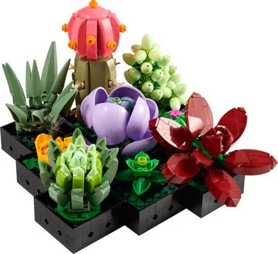 Produktbild von LEGO Icons Sukkulenten Künstliche Blumen Set für Erwachsene, Blumenstrauß-Bausatz, Kreatives Hobby, Home Deko, Geschenk-Idee für Frauen, Männer, Sie & Ihn, Botanische Sammlung (Baue 9 Pflanzen) 10309