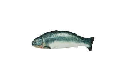 Produktbild von Robocat Katzenspielzeug Fish Lachs