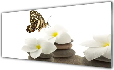 Produktbild von Acrylglasbilder 125x50 Wandbild Druck Schmetterling Blumen Steine Pflanzen