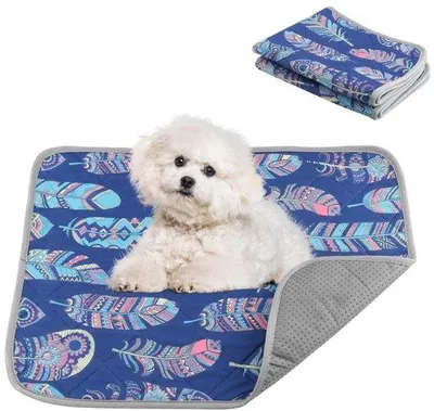 Productafbeelding van Famanu Trainingsmatten, 2 stuks, 46x61 cm - Waterabsorberend en antislip