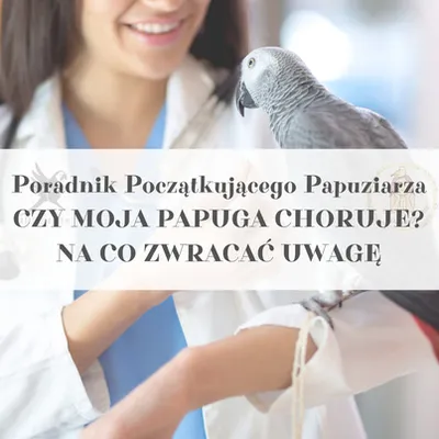 Zdjęcie produktu dla Poradnik ParrotPlanet - Poradnik Początkującego  Papuziarza - CZY MOJA PAPUGA JEST CHORA?