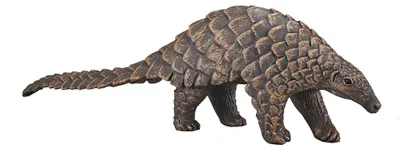 Zdjęcie produktu dla Mojo Fun Indian Pangolin, 3 lat(a), Wildlife, Brązowy, Czarny, Polichlorek winylu (PVC)