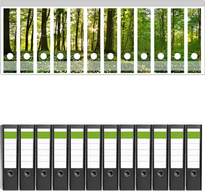 Produktbild von Wallario 12 Stück breite Ordner inkl. Klebeetiketten mit Motive Waldanemonen und Sonnenstrahlen im Wald -  Set mit Rückenschildern / Ordnerrücken Stickern