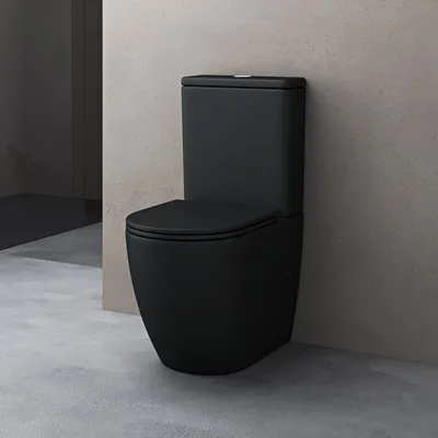 Image de doporro WC à Poser Céramique Noir Mat Toilette avec Réservoir de Toilette Abattant Silencieux avec Frein de Chute Stand179T