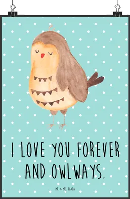 Produktbild von Mr. & Mrs. Panda Bild Eule Zufrieden DIN A2 - Türkis Pastell - Geschenk, Plakat, Liebesspruch, Romantisch, Owl, Müde, wanddeko, Wandbild, Kunstdruck, Hochzeitstag, drucke