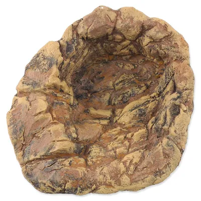Obrázek produktu pro Jezírko Repti Planet terarijní 14x16x5cm