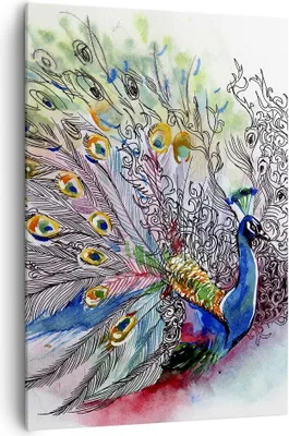 Produktbild von Bild auf Leinwand - Leinwandbild - Einteilig - Pfau Feder Farbe - 70x100cm - Wand Bild - Wanddeko - Wandbilder - Leinwanddruck - Wanddekoration - Leinwand bilder - Wandbild - PA70x100-3556