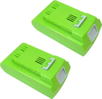 Produktbild von 2x Trade-Shop Premium Li-Ion Akku, 24V / 2000mAh ersetzt Greenworks 29322, 29807, 29837, 29842, 29852 für Greenworks Tools 10-Inch Cordless Chainsaw 20362 130MPH Cordless G24 Sweeper