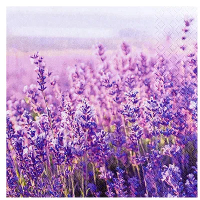 Produktbild von RP 20 Servietten Field of Lavender - Feld an Lavendel 33x33cm