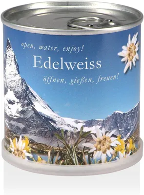 Imagen del producto de Flores en lata, Edelweiss, 8 cm de alto, para la decoración de interiores