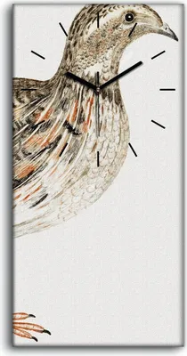 Produktbild von Wandbild Leinwand Bilder Wanduhr Geräuschlos 30x60 Zeichnung Tier Vogel Kunst - schwarze Hände